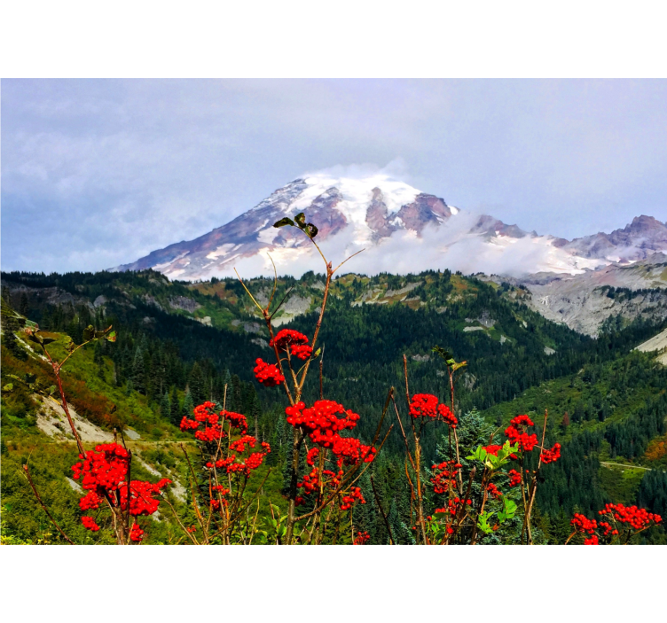 Peizažo sienos freska su snieguotu kalnu - „Tenstickers“