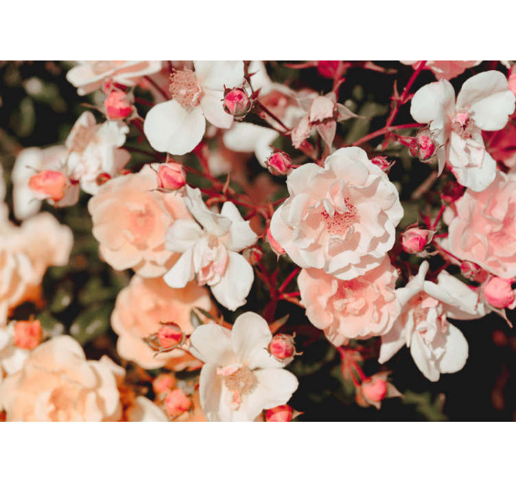 Daugybė gėlių rožinė sieninė tapyba - „Tenstickers“