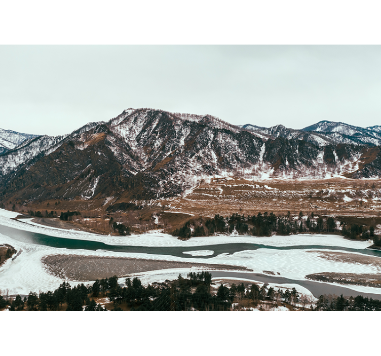 Snieguotas kalno viršaus biuro sieninis paveikslas - „Tenstickers“