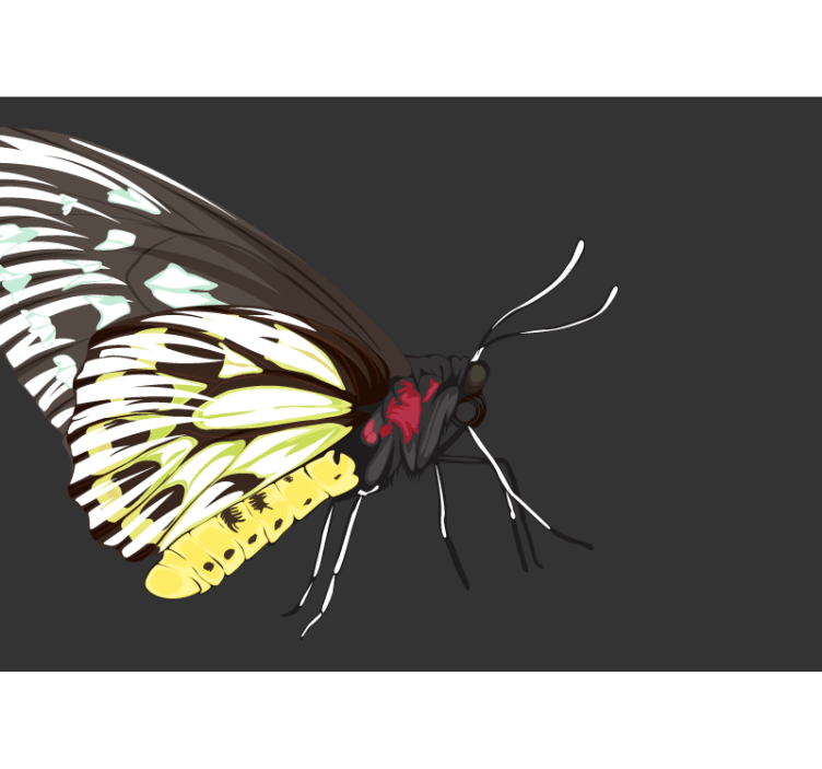 Geltono drugelio dizainas sienų freska - „Tenstickers“