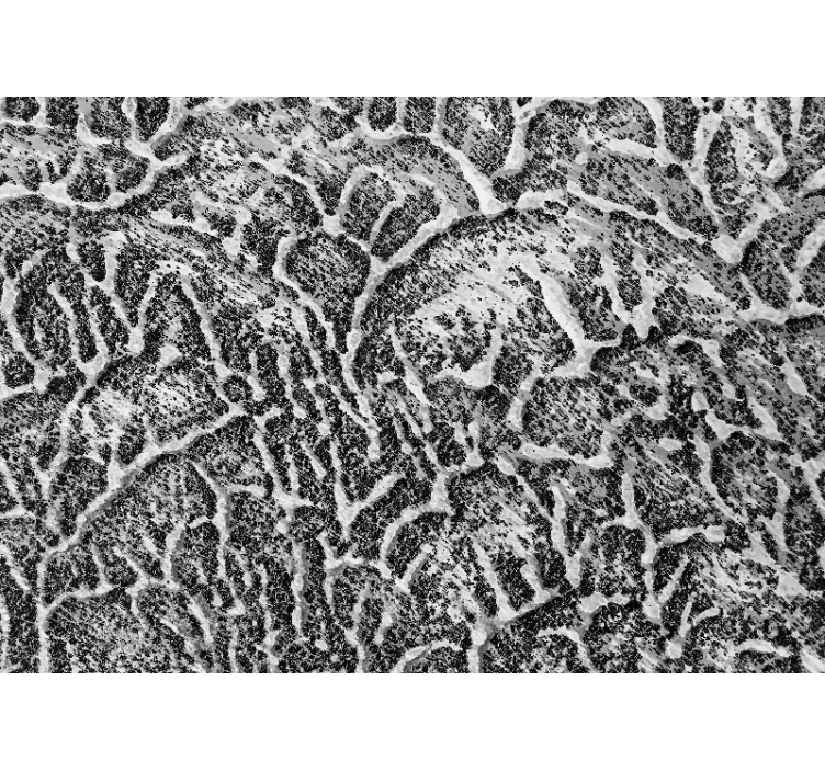 Tekstūros sienų freska organinėms tekstūroms - „Tenstickers“