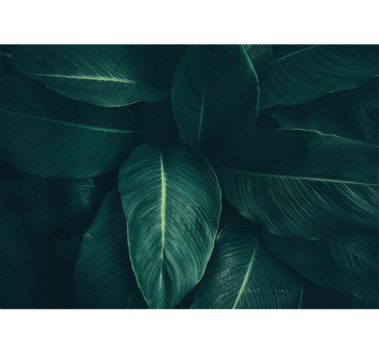 Didelis žalias tropinių lapų gamtos sieninis paveikslas - „Tenstickers“