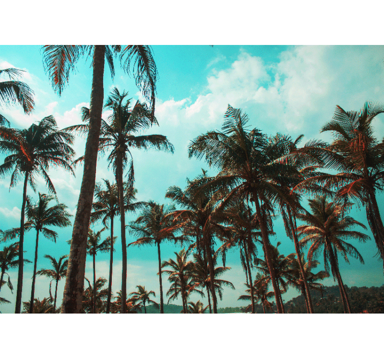Gamtos sienų tapyba palmų medžių rojus - „Tenstickers“