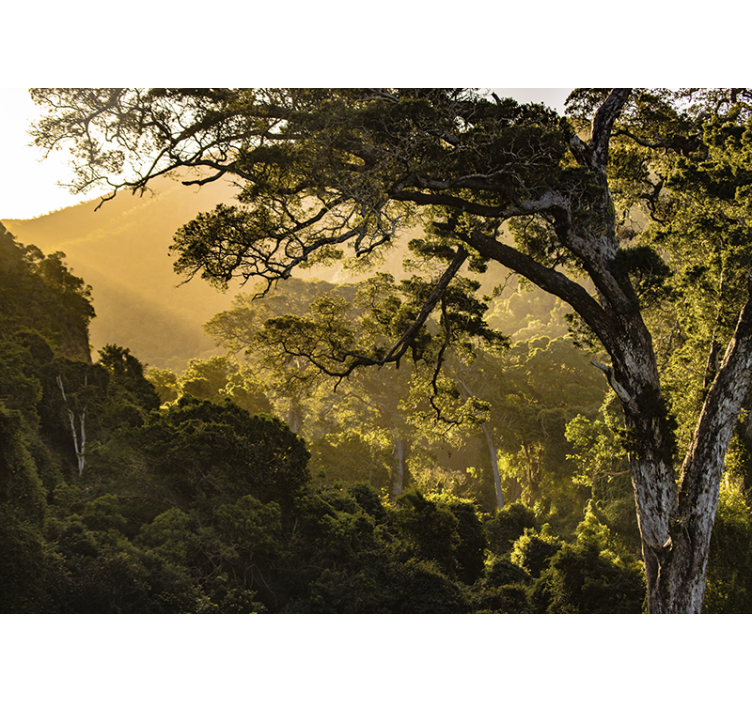 Gamtos sienų tapyba Žaliuojančių miškų peizažas - „Tenstickers“