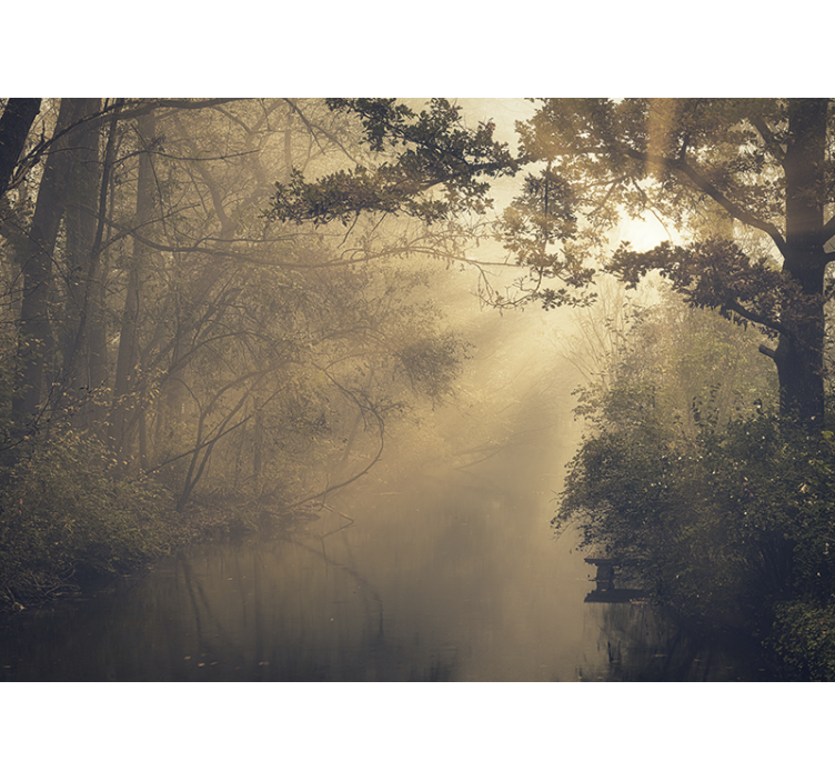 Gamtos sienų tapyba Švytinti miško peizažas - „Tenstickers“