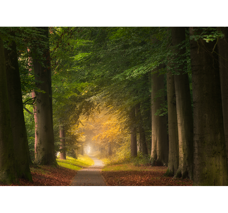 Gatve per miško sienos freską - „Tenstickers“