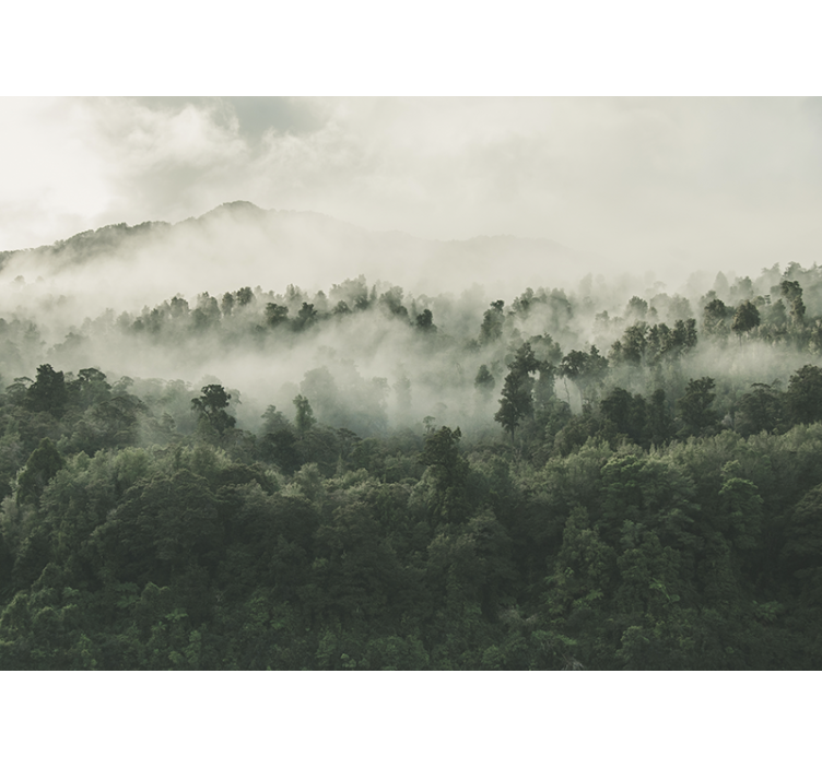 Miškas su rūku iš viršaus sienos freska - „Tenstickers“