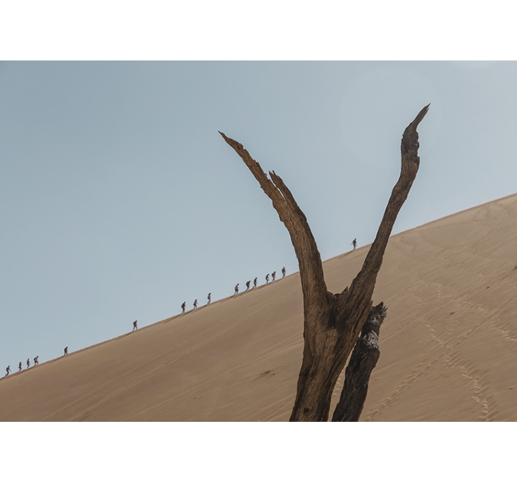 Kopų žygeivių siluetas dykumos sienos freska - „Tenstickers“