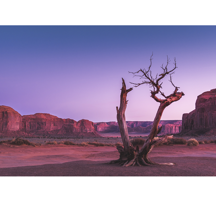 Peizažo sienos freska dykumos akmens struktūra - „Tenstickers“