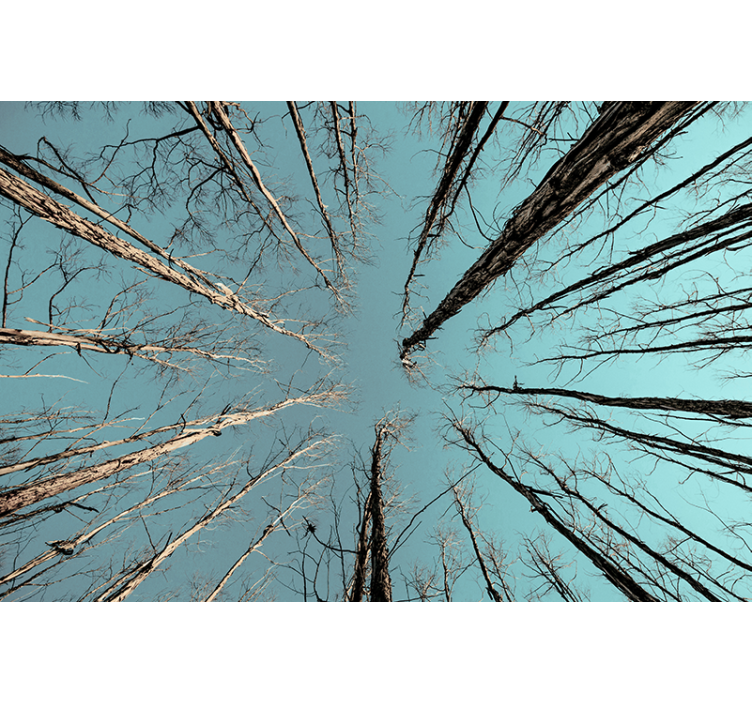 Medžių sienų freskos medžiai pasiekia dangų - „Tenstickers“