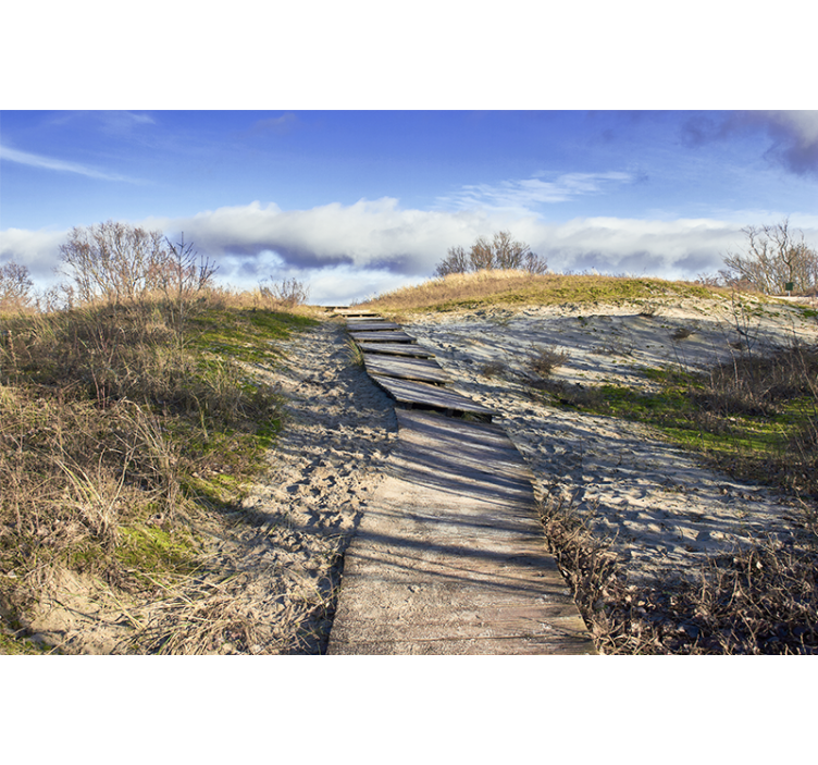 Peizažo sienos freska medinis takas - „Tenstickers“