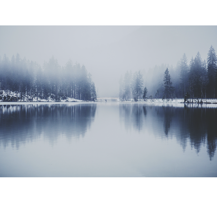 žiema miglotas miškas gamtos sienų tapyba - „Tenstickers“