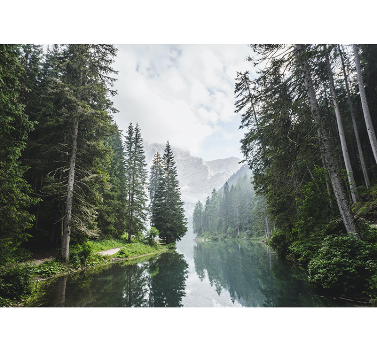 Peizažo sienos freska ramus miško atgarsis - „Tenstickers“