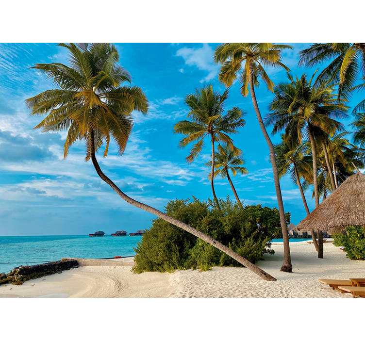 Gamtos sienų tapyba tropinių palmių peizažas - „Tenstickers“