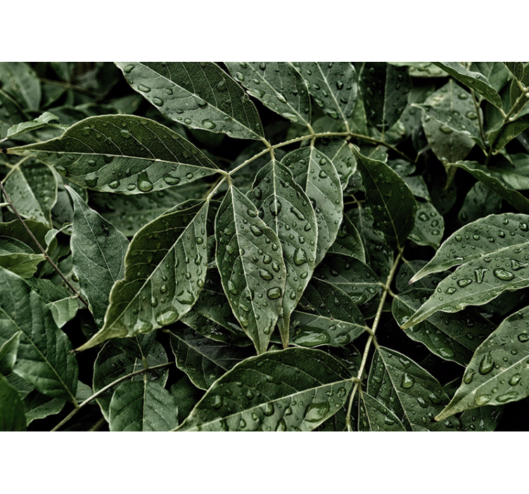 Gamtos sienų tapyba ryškių lapų paviršius - „Tenstickers“