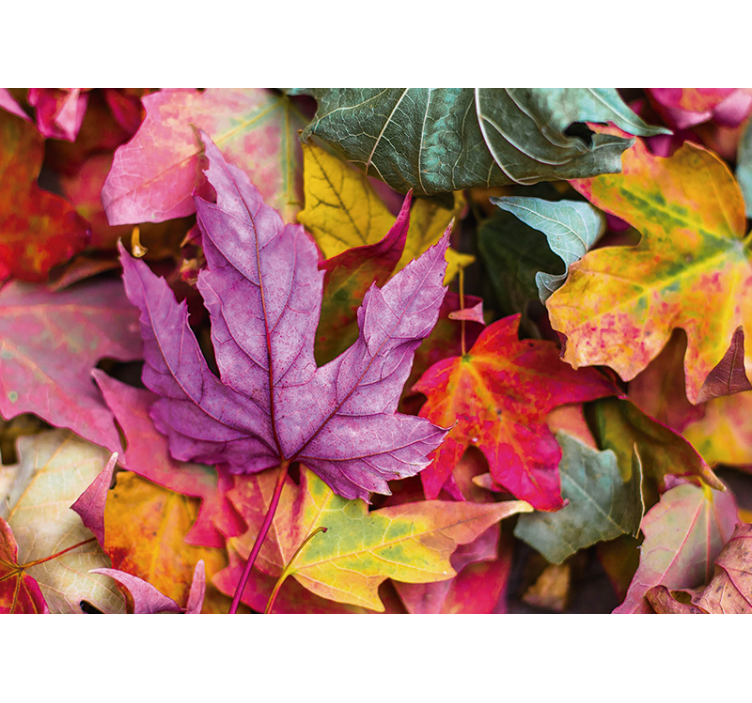 Gėlių sienos freska spalvingų lapų raštais - „Tenstickers“