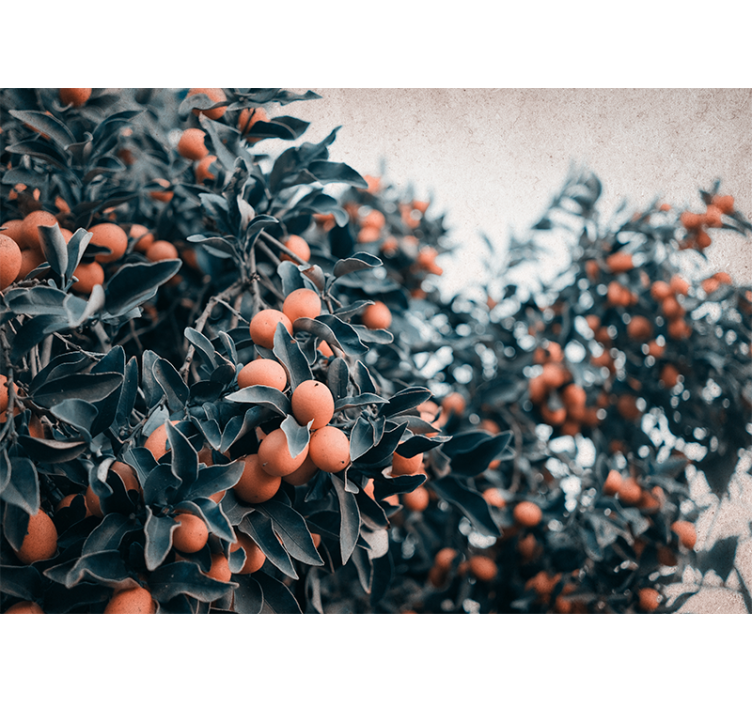 Gėlių sienos freska citrusinių vaisių šaka - „Tenstickers“