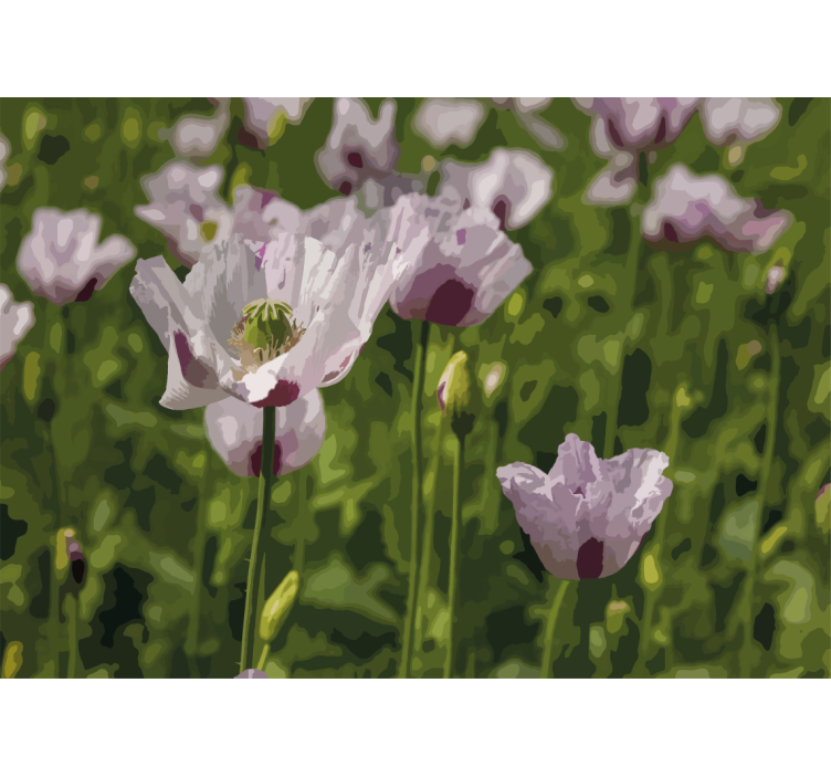 Aguonų sienų freska gėlių elegancija - „Tenstickers“