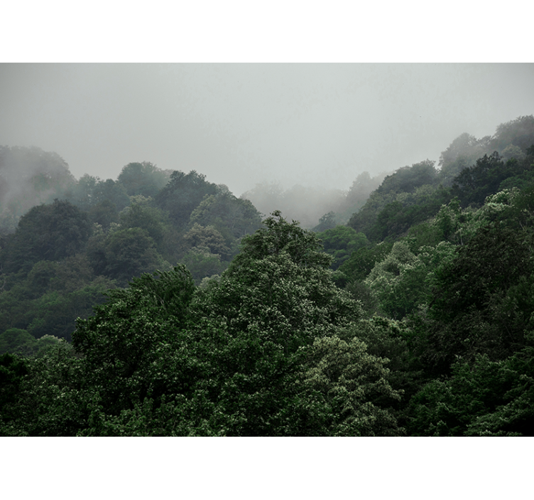 Miglotas peizažas miško sienos freska - „Tenstickers“