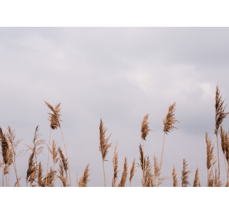 Medžių sienų freskos aukštos žolės siluetai - „Tenstickers“