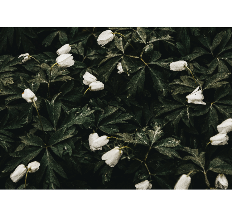 Snieguolės miško freskoje - „Tenstickers“