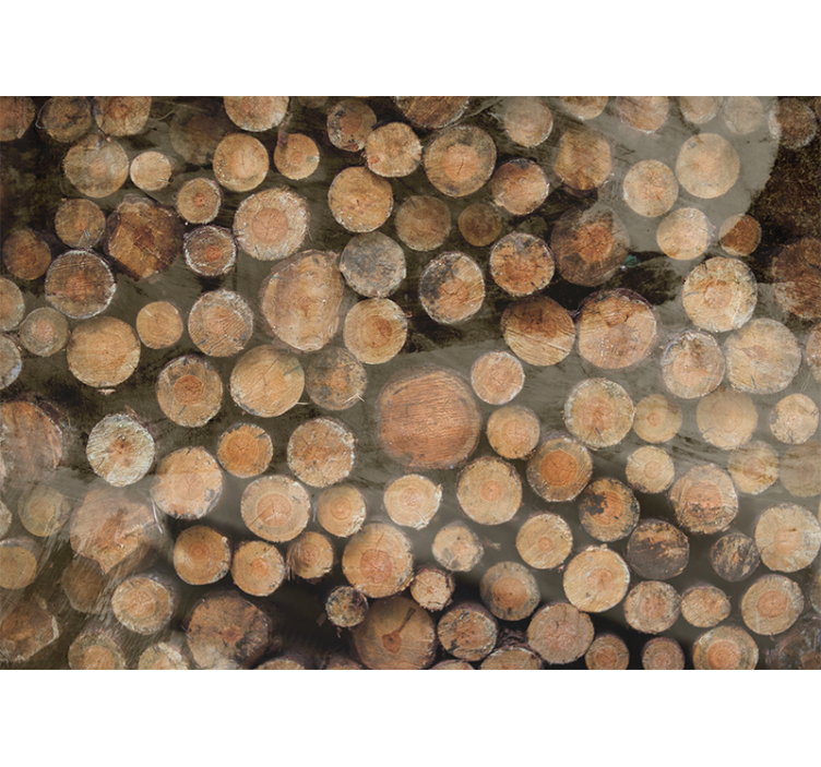 Tekstūruotos sienų freska medinių rąstų kompozicija - „Tenstickers“