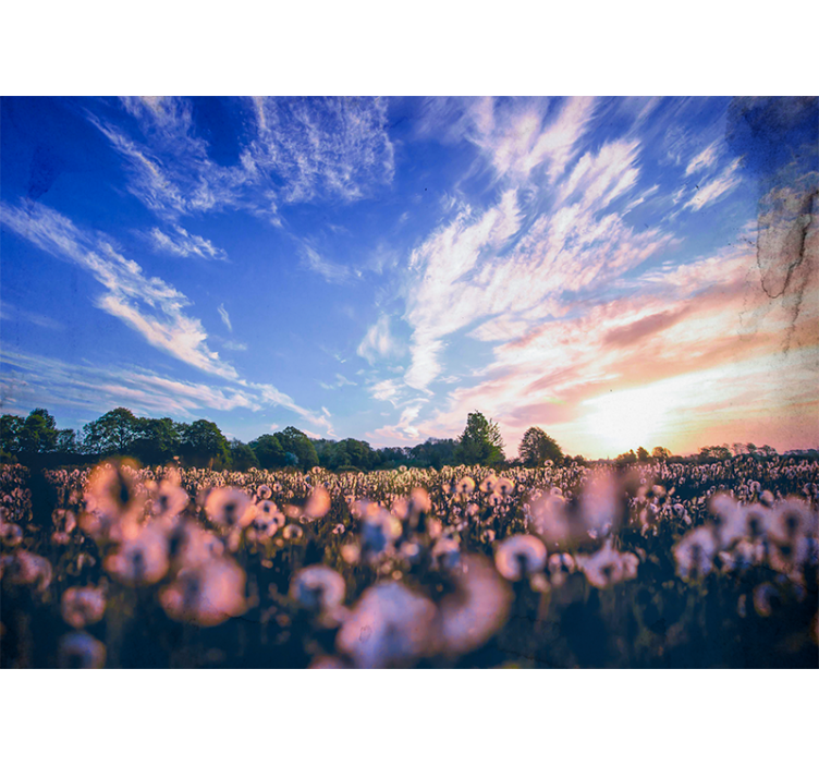 Gėlių sienos freska pienių lauko ramybė - „Tenstickers“