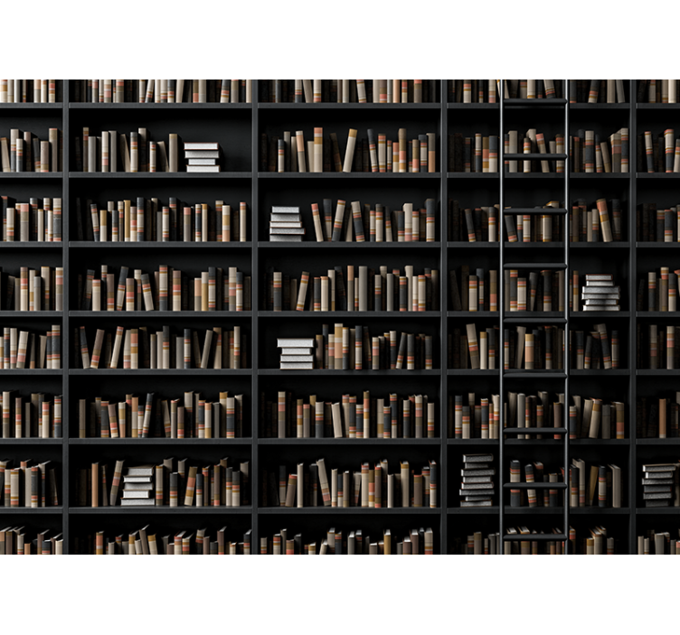 Knygų lentynos optinė iliuzija 3d sieninė tapyba - „Tenstickers“