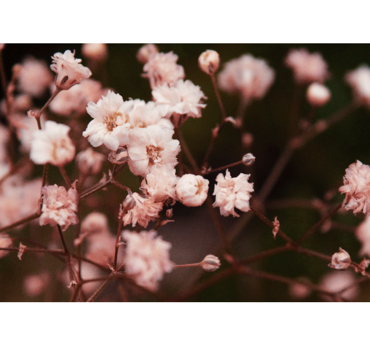 Gėlių sienos freska delikatus žydinčių gėlių motyvas - „Tenstickers“