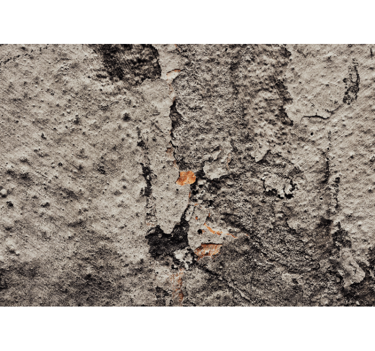 Tekstūruotos sienų freska betono tekstūra - „Tenstickers“