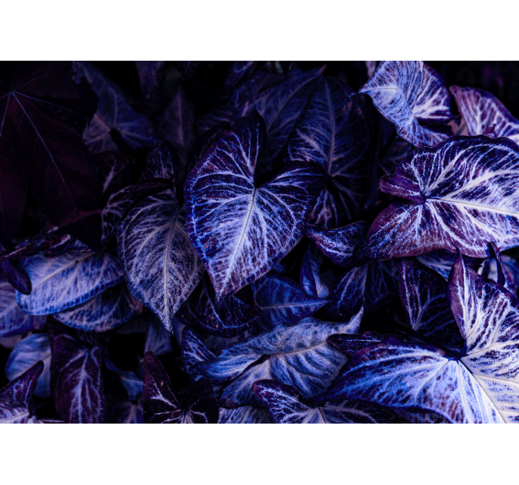 Violetiniai lapų raštai gyvenamojo kambario sienų freska - „Tenstickers“