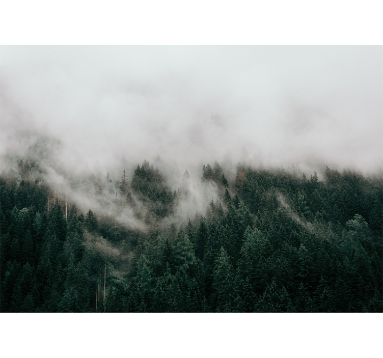 Miškas migloti debesys medžio freska - „Tenstickers“