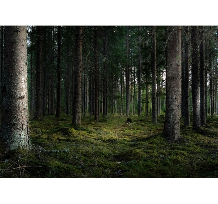 Ramus kraštovaizdis miško sienos freska - „Tenstickers“