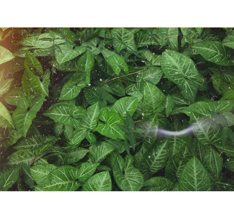 Gamtos sienų tapyba gyvybingų lapų kompozicija - „Tenstickers“