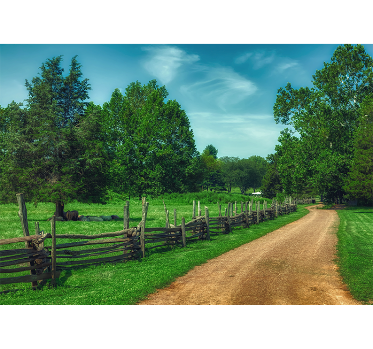 Peizažo sienos freska gyvybingo žalio tako - „Tenstickers“