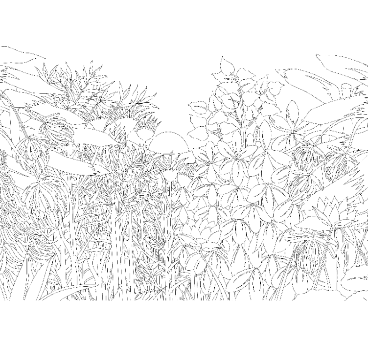 Atogrąžų džiunglių eskizas miško sienų tapyba - „Tenstickers“