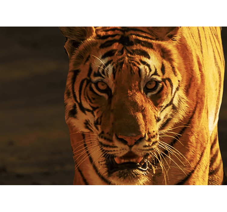 Liūto sienos freska karališko tigro žvilgsnis - „Tenstickers“