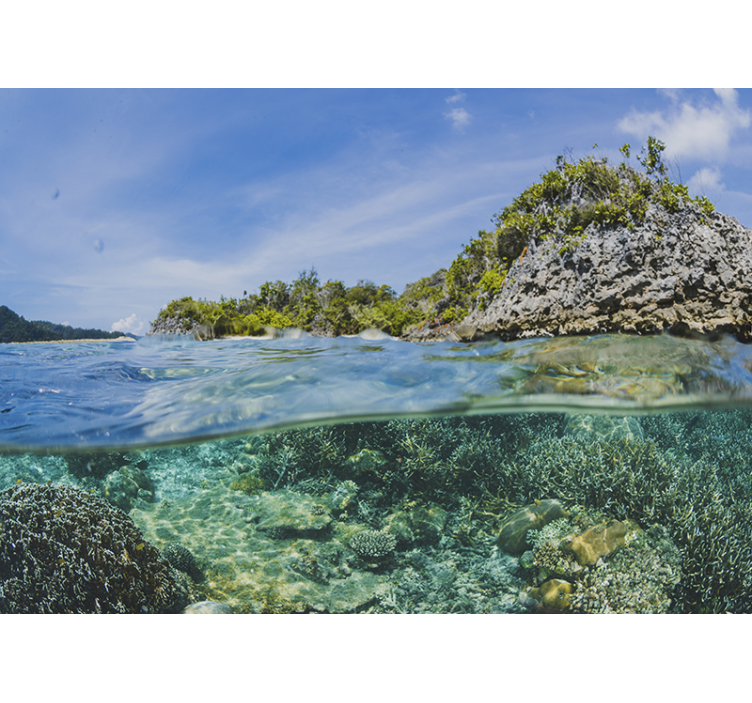 Povandeninis jūros peizažas peizažo sienos freska - „Tenstickers“