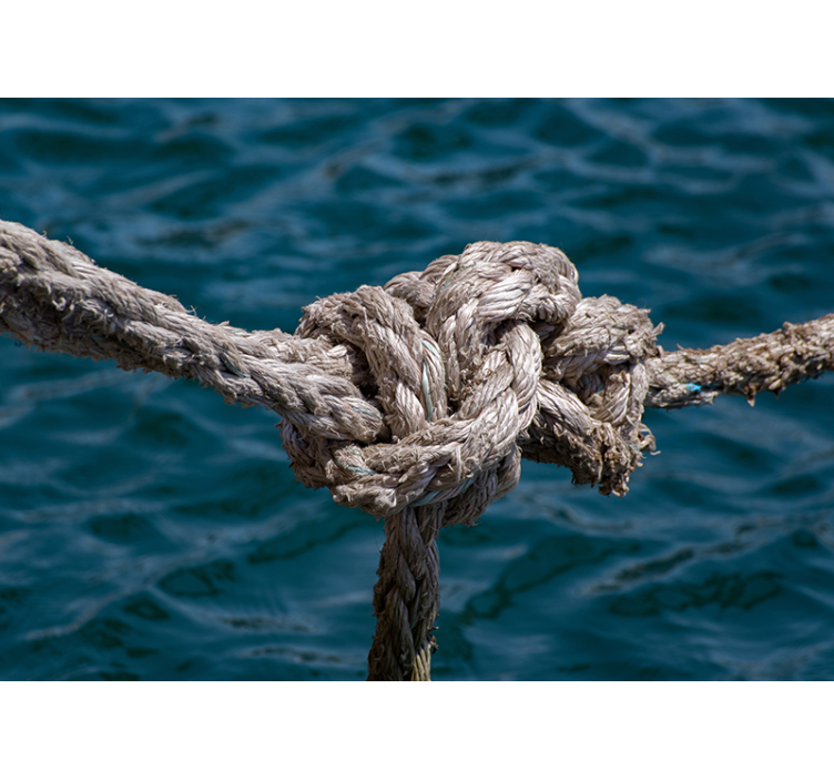 Jūrinio mazgo stiprumas jūros gyvenimas sieninis freska - „Tenstickers“