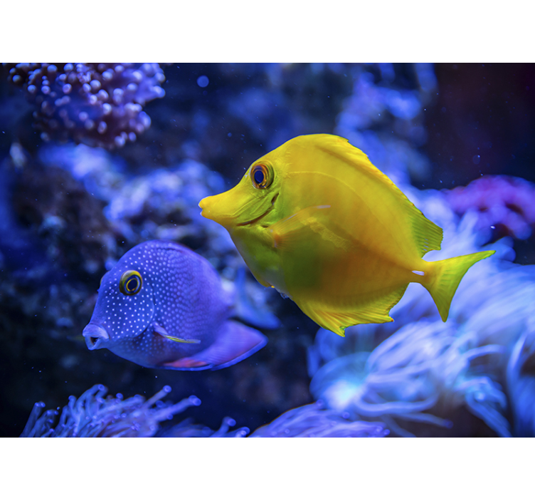 Mėlynos ir geltonos žuvys jūros sienos freska - „Tenstickers“