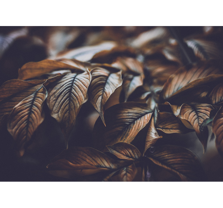 Rudens lapai iš arti gėlių sienos freska - „Tenstickers“