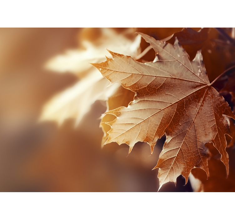 Gėlių sienos freska su klevo lapo detale - „Tenstickers“