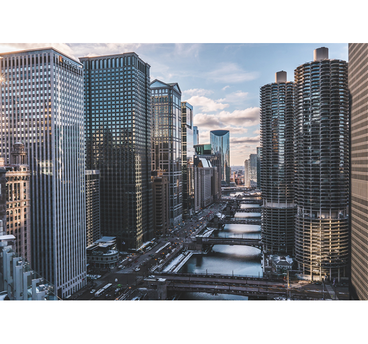 Miesto sienų freska Čikagos panoramos vaizdas - „Tenstickers“