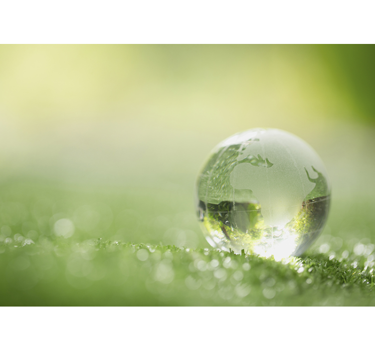 Gamtos sienų tapyba Žemė ant žolės - „Tenstickers“