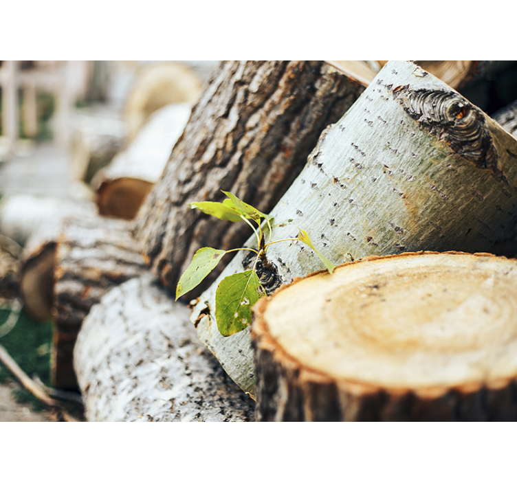 Miško sienos freska medienos rąstų kompozicija - „Tenstickers“