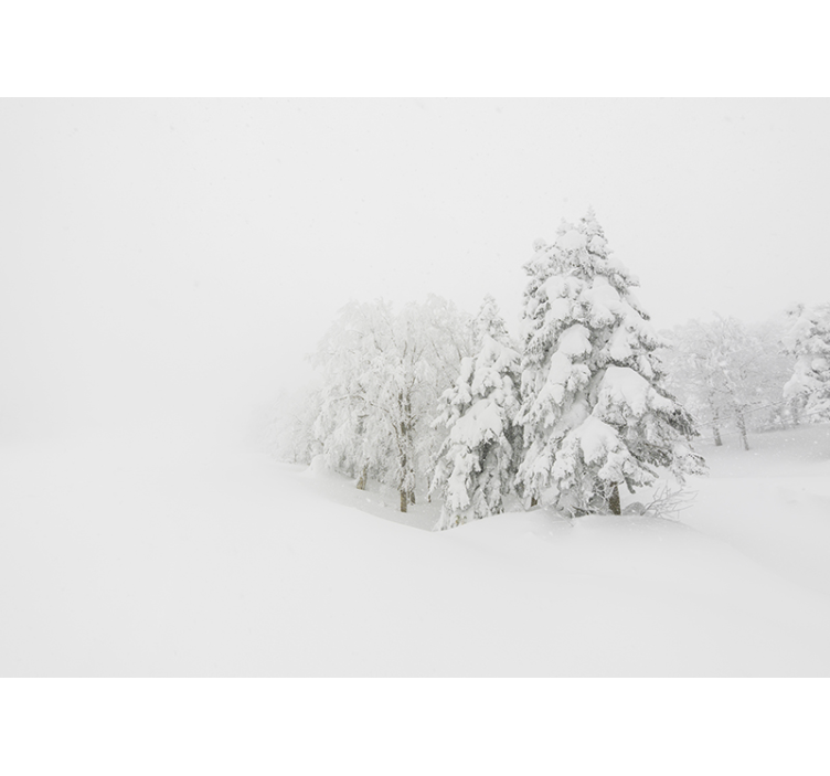 žiemos audra ir medžių miško sienos freska - „Tenstickers“