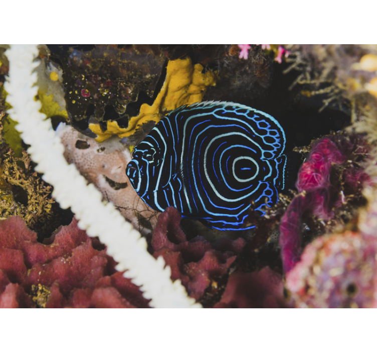 Gyvūnų sienų freska mėlynų žuvų raštai - „Tenstickers“