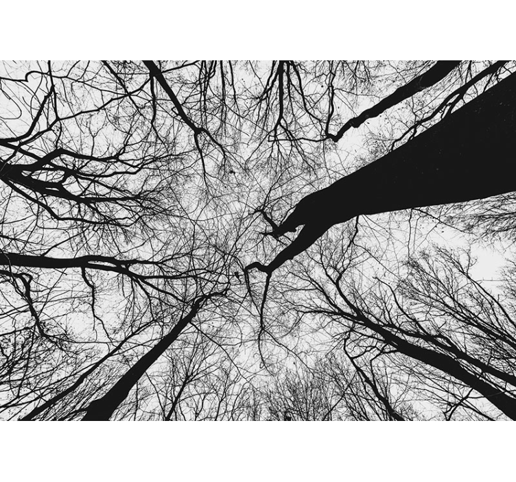 Kerintis miško nuotraukų paveikslas - „Tenstickers“