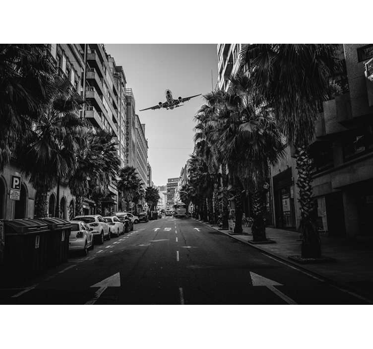 Automobilis ir lėktuvai automobilio fototapetai - „Tenstickers“