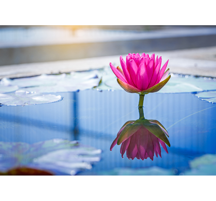 Ryškiai mėlynas vanduo ir rausvos gėlės medžio paveikslas - „Tenstickers“